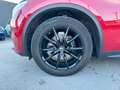 Alfa Romeo Stelvio Serie 0 MY19 B-Tech 2.2 Diesel 16V 209PS Rot - thumbnail 10