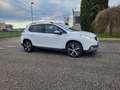 Peugeot 2008 allure 1.6 bluehdi 100CV Bianco - thumbnail 3