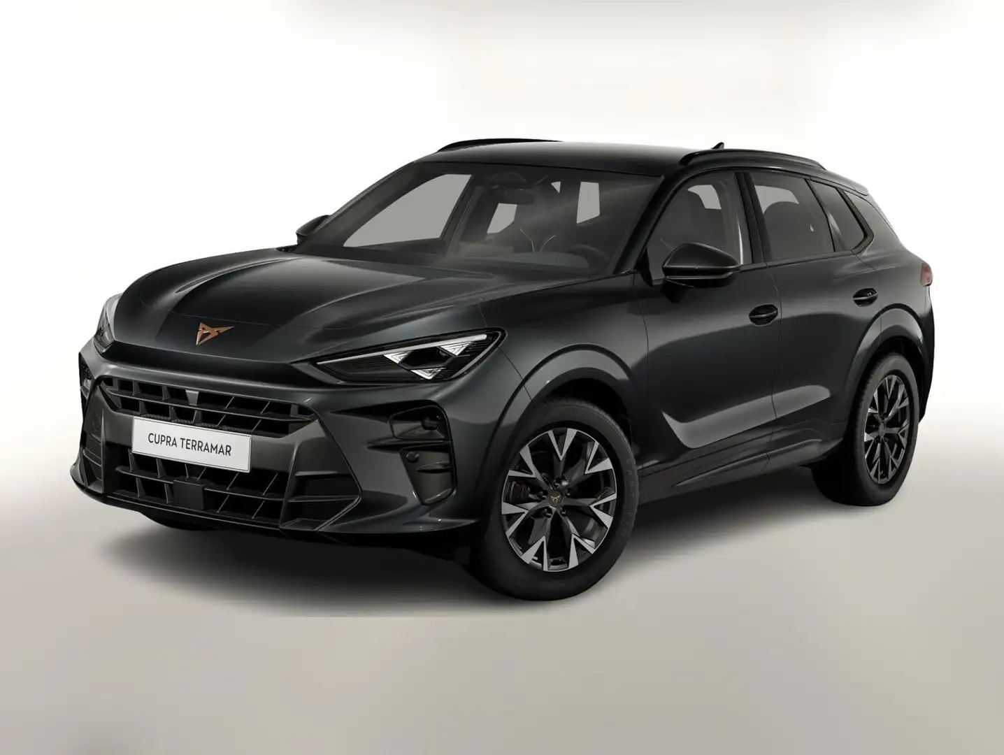 CUPRA Terramar 1.5 eTSI 150 DSG LED VirCo SHZ Kam PDC 110 kW (... Grau - 1