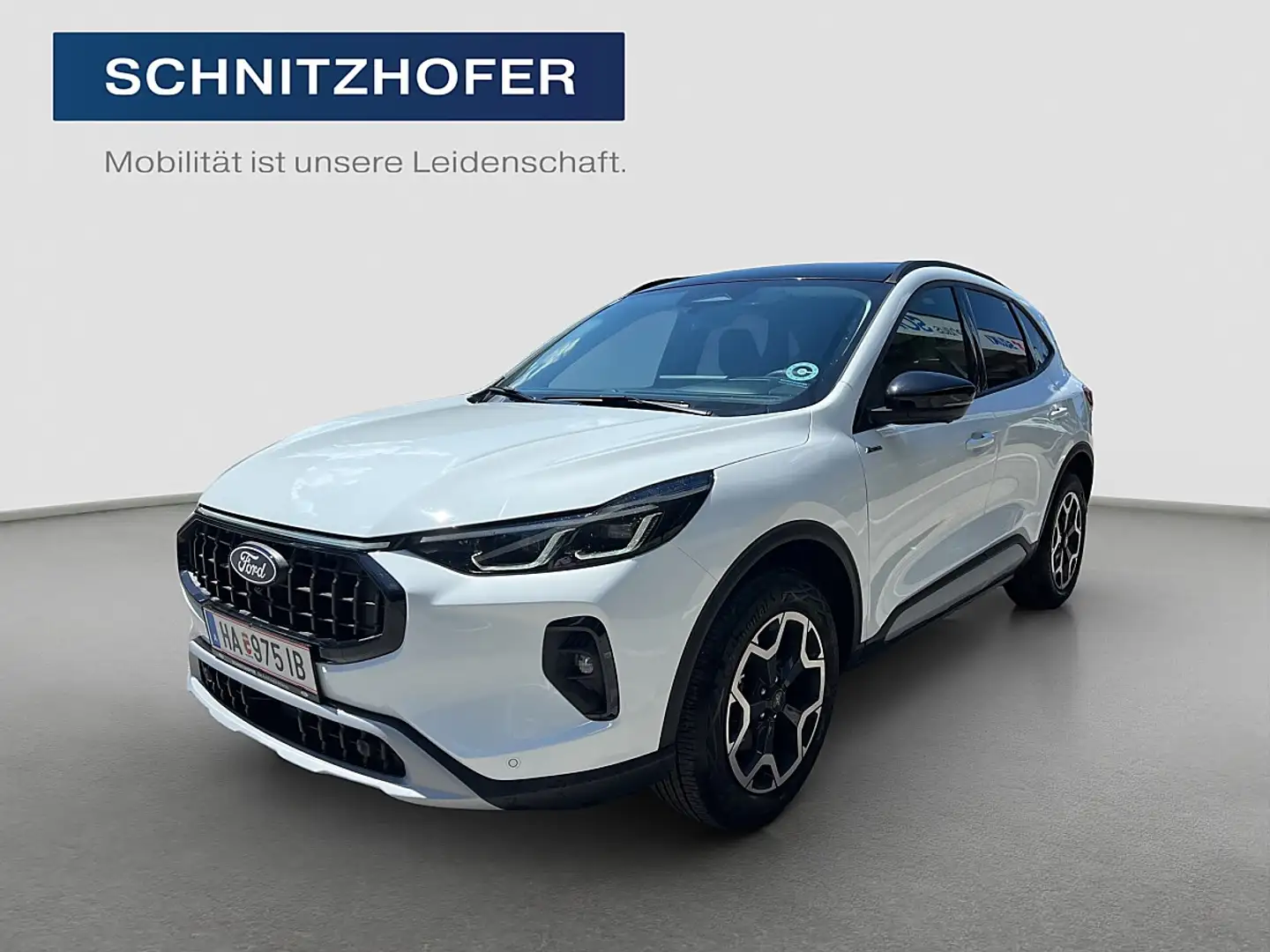 Ford Kuga 2,5 Duratec FHEV Active X Allrad Aut. Weiß - 1