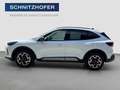Ford Kuga 2,5 Duratec FHEV Active X Allrad Aut. Weiß - thumbnail 8