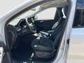 Ford Kuga 2,5 Duratec FHEV Active X Allrad Aut. Weiß - thumbnail 14