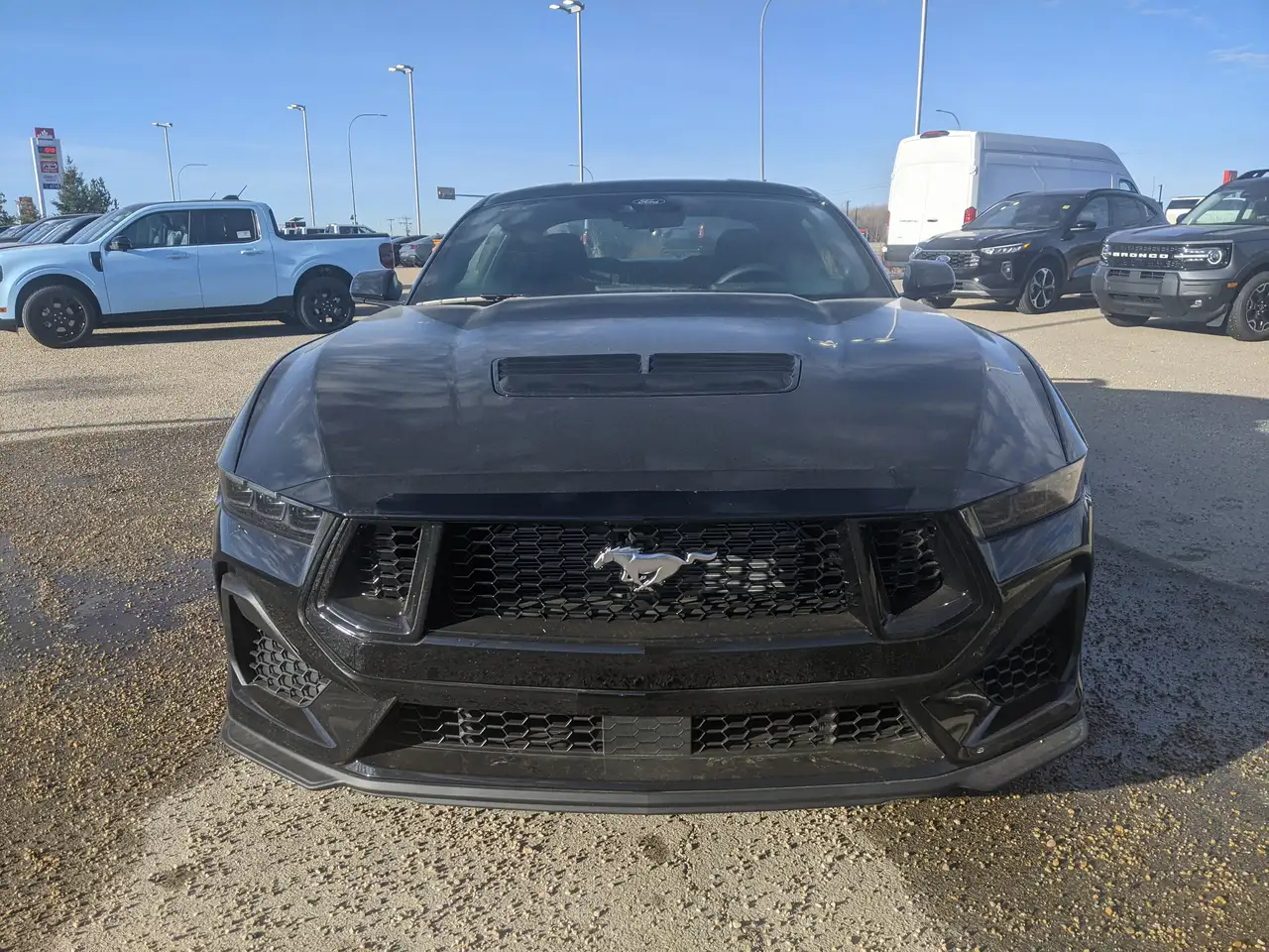 Ford Mustang снимка Ford Mustang