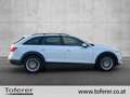 Audi A4 allroad 40 TDI quattro Weiß - thumbnail 4