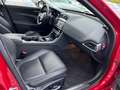 Jaguar XE Portfolio 20 d Automatik*Navigation*Bi-Xenon* Rot - thumbnail 10