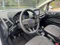 Ford EcoSport Titanium KAMERA/XENON/WINTERPAKET/2TKM! Weiß - thumbnail 15