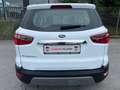 Ford EcoSport Titanium KAMERA/XENON/WINTERPAKET/2TKM! Weiß - thumbnail 6