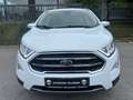 Ford EcoSport Titanium KAMERA/XENON/WINTERPAKET/2TKM! Weiß - thumbnail 2