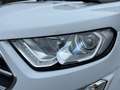 Ford EcoSport Titanium KAMERA/XENON/WINTERPAKET/2TKM! Weiß - thumbnail 4