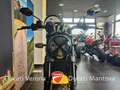 Ducati Scrambler Scrambler 800 Icon Yellow solo 3.282 km! Gelb - thumbnail 12