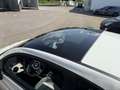 Fiat 500 HYBRID DOLCEVITA*GLASDACH*LEDER*CARPLAY Weiß - thumbnail 10