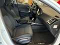 Kia Ceed / cee'd Blanco - thumbnail 10