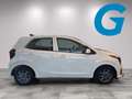 Kia Picanto SILBER 1,0 GDI AMT5 67 MY26 Weiß - thumbnail 18