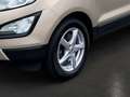 Ford EcoSport 1.0 EcoBoost COOL & CONNECT Allwetter Beige - thumbnail 13