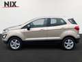 Ford EcoSport 1.0 EcoBoost COOL & CONNECT Allwetter Beige - thumbnail 3
