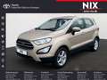 Ford EcoSport 1.0 EcoBoost COOL & CONNECT Allwetter Beige - thumbnail 1