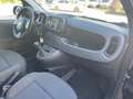 Fiat Panda Panda III 2021 1.0 firefly hybrid City Life s Nero - thumbnail 10