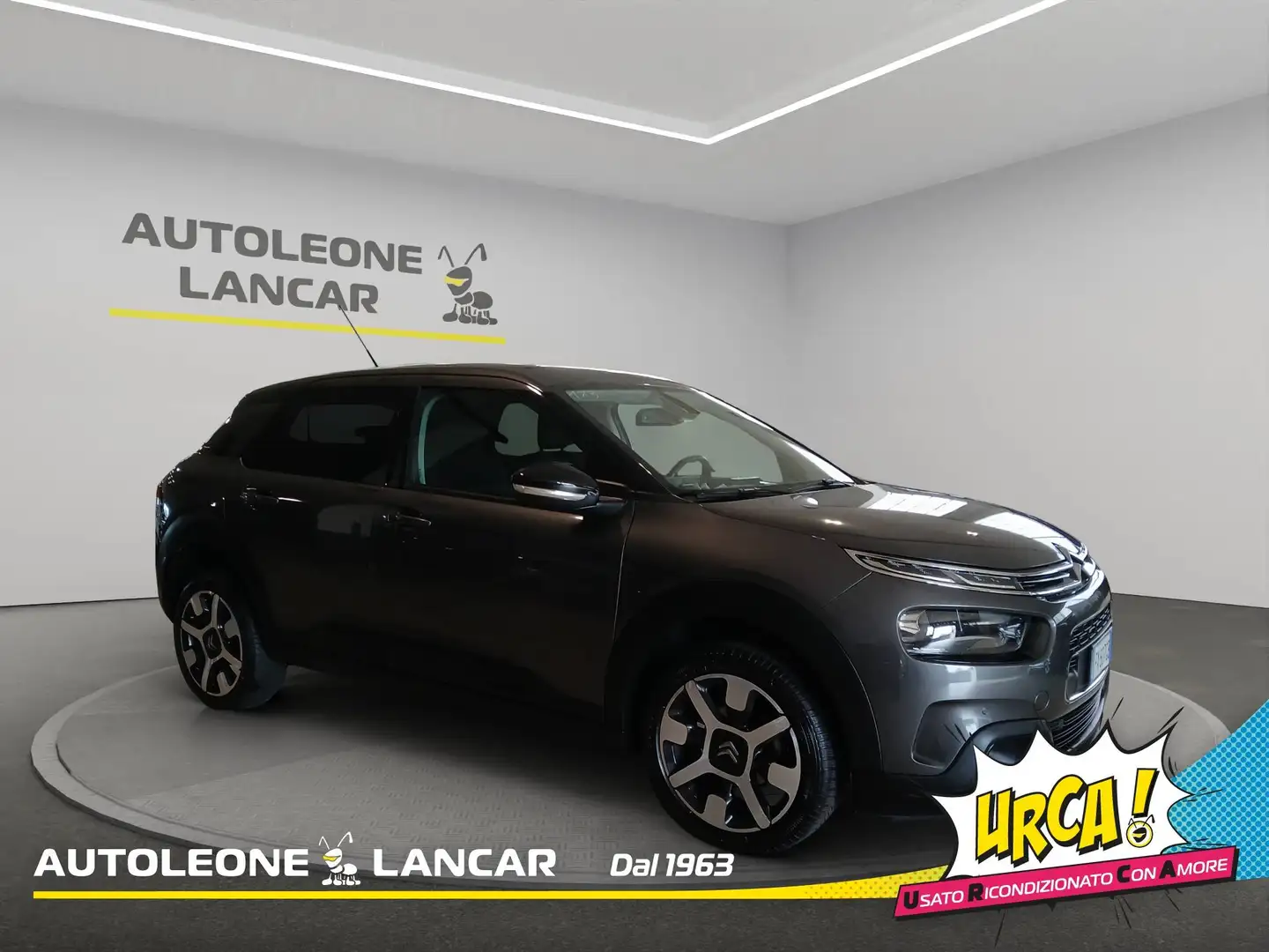 Citroen C4 Cactus 1.5 Bhdi Shine 100cv E6 Grigio - 1