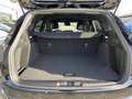 Ford Focus MHEV ST-Line*Kamera*ACC*Sitzhzg*Facelift Schwarz - thumbnail 9
