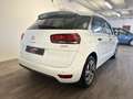 Citroen C4 Picasso C4 Picasso 1.6 e-hdi Exclusive 115cv AUTOMATICA Bianco - thumbnail 5