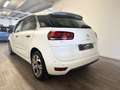 Citroen C4 Picasso C4 Picasso 1.6 e-hdi Exclusive 115cv AUTOMATICA Bianco - thumbnail 3