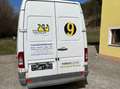 Mercedes-Benz Sprinter Sprinter 313 CDI HD 3,5 t/4.025 mm Weiß - thumbnail 5