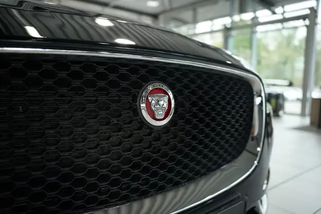 Jaguar F-Pace view 12