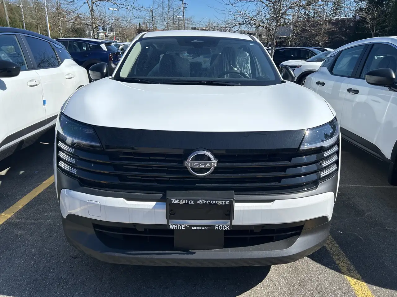 Nissan Kicks снимка Nissan Kicks