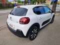 Citroen C3 1.2 puretech Max s&s Blanco - thumbnail 3