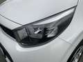 Kia Picanto 1.0 EDITION 7 SHZ+MFL+MFA+NSW+1.HAND Alb - thumbnail 15