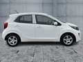 Kia Picanto 1.0 EDITION 7 SHZ+MFL+MFA+NSW+1.HAND Alb - thumbnail 7