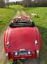 Jaguar XK 120 OTS Rood - thumbnail 7