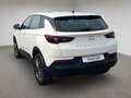 Opel Grandland X Grandland 1.5 D Automatik Business Edition *LED* Weiß - thumbnail 7