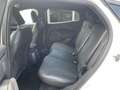 Ford Mustang Mach-E RWD 198 kW (269 CV) Rango Estandar 76 kWh Blanco - thumbnail 12