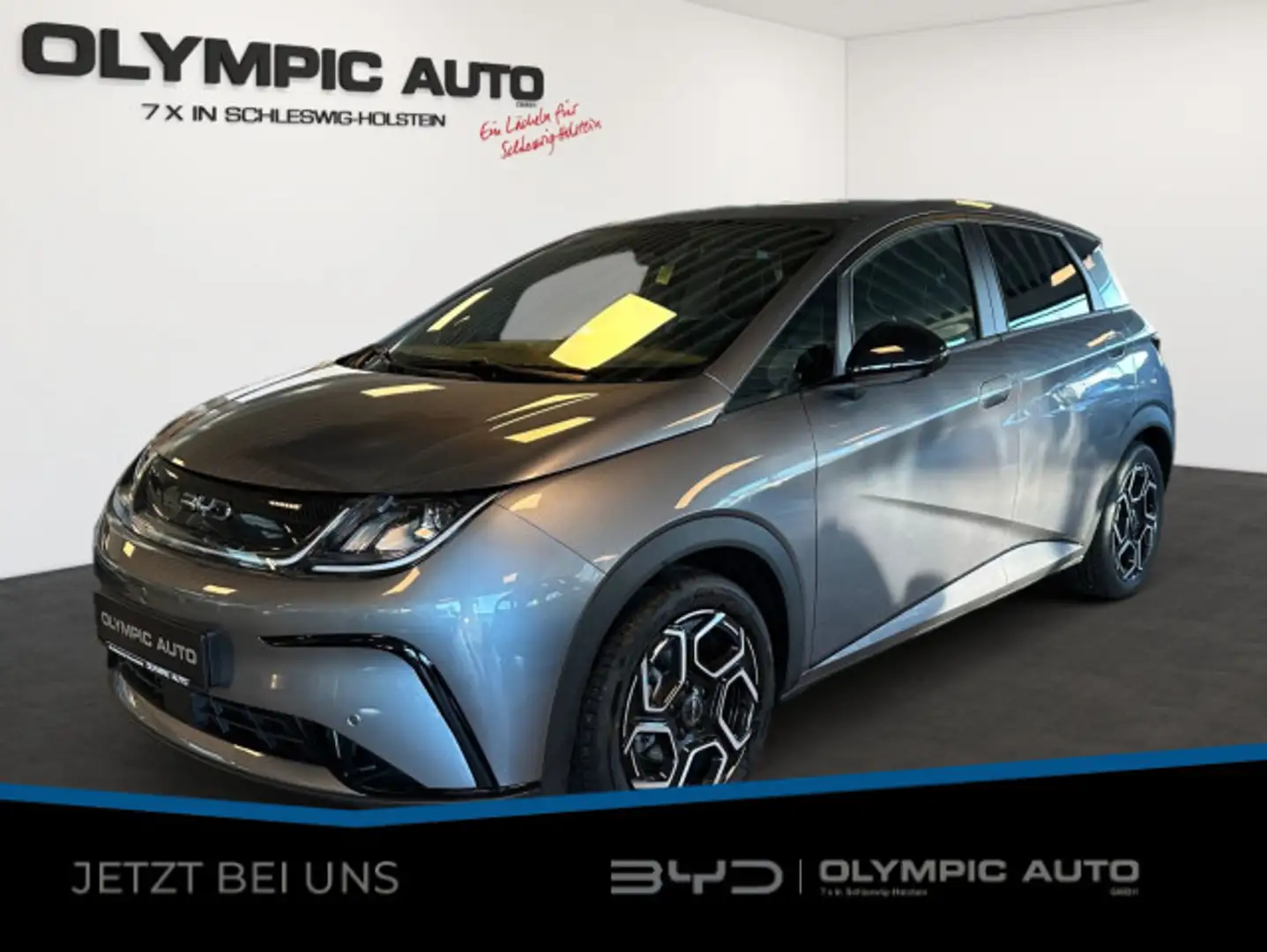 BYD Dolphin Design 60,4kWh 360*Kamera LED SHZ Leder Grau - 1