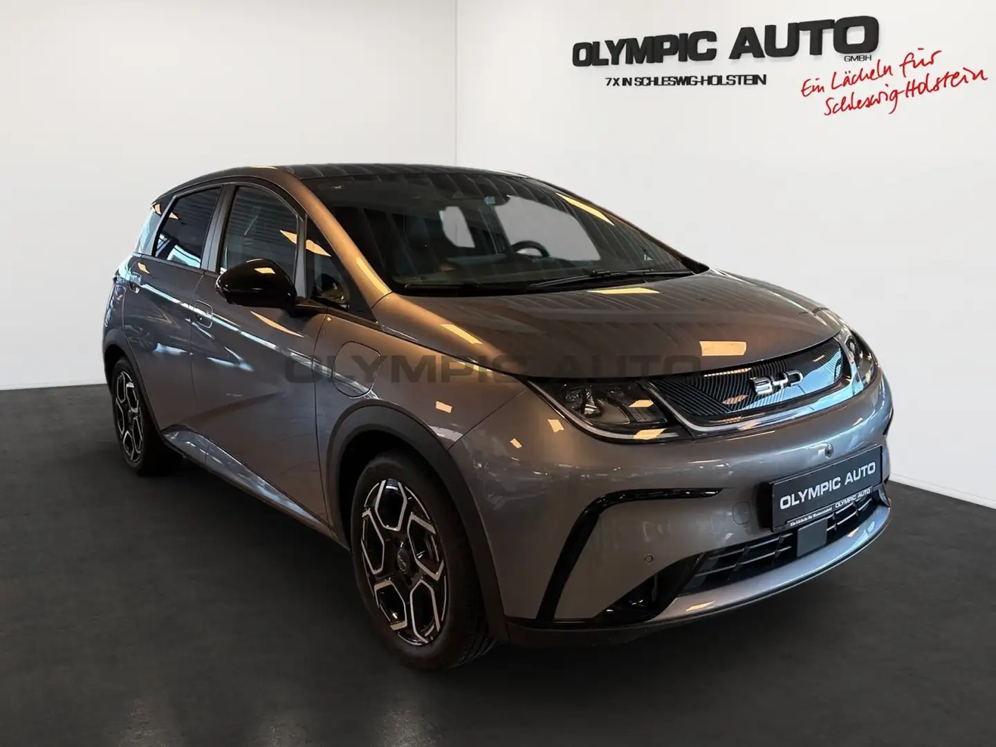 BYD Dolphin Design 60,4kWh 360*Kamera LED SHZ Leder Grau - 2