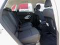 Audi Q3 45 TFSI e Navi+ LM18 SHZ PDC+ Businessp. Weiß - thumbnail 13