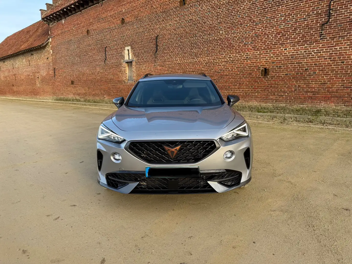 CUPRA Formentor VZ 2.0 TSI 4Drive DSG LED Camera Car-play Gris - 2