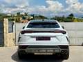 Lamborghini Urus Blanc - thumbnail 5