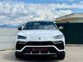 Lamborghini Urus Blanc - thumbnail 4