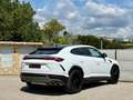 Lamborghini Urus Blanc - thumbnail 3