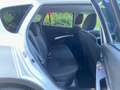 Suzuki SX4 1.6 ddis Allgrip 4x4 * Super-Acc* Top 4WD Cool AWD Bianco - thumbnail 11