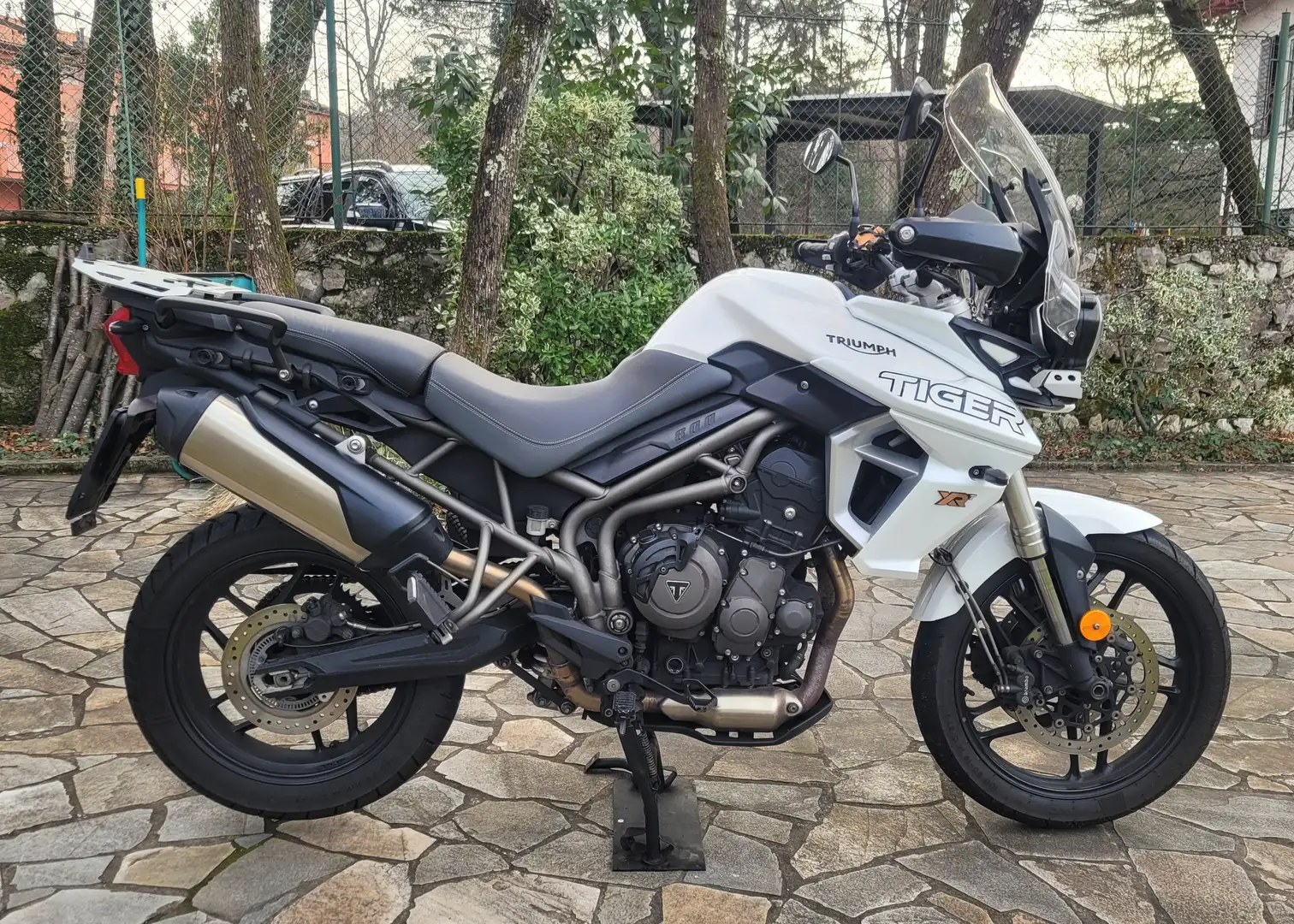 Triumph Tiger 800 XRT Alb - 1