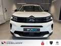 Citroen C5 Aircross Shine PureTech 130 EAT8 Weiß - thumbnail 3