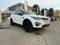 Land Rover Discovery Sport 2.0 TD4 150 CV Auto Business Ed. Premium SE Weiß - thumbnail 8