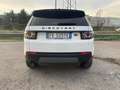 Land Rover Discovery Sport 2.0 TD4 150 CV Auto Business Ed. Premium SE Weiß - thumbnail 5