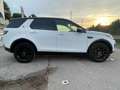 Land Rover Discovery Sport 2.0 TD4 150 CV Auto Business Ed. Premium SE Weiß - thumbnail 7