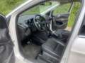 Ford Kuga Kuga 2.0 TDCi 4x4 Aut. Individual Weiß - thumbnail 6