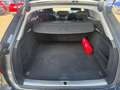 Audi A4 Avant basis ultra Sitzheizung Grau - thumbnail 12