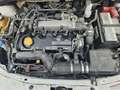 Fiat Sedici 1.9 MJtdDPF 4x4 Luxury Klima Euro4 Fix! Blanc - thumbnail 13